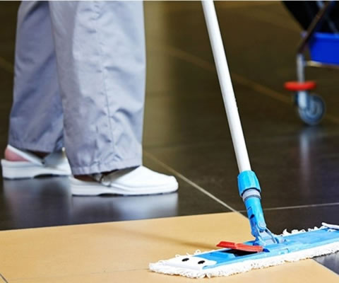 Serviços de Limpeza e Higienização para Empresas e Comércios